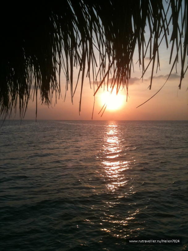 photo 228063