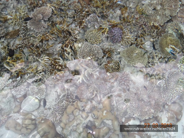 photo 391015