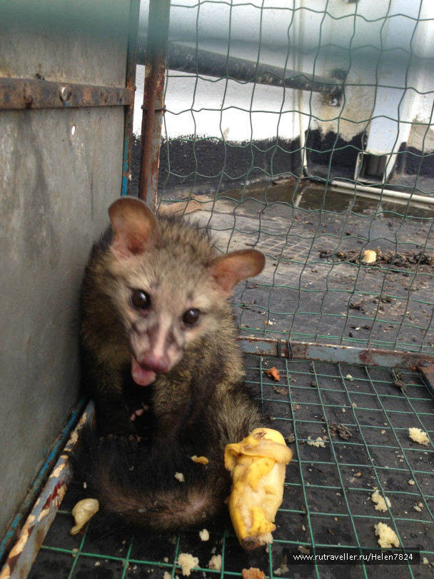 photo 502482