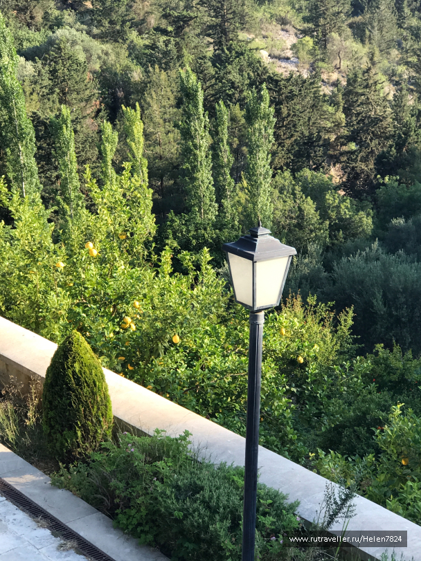 photo 1581750