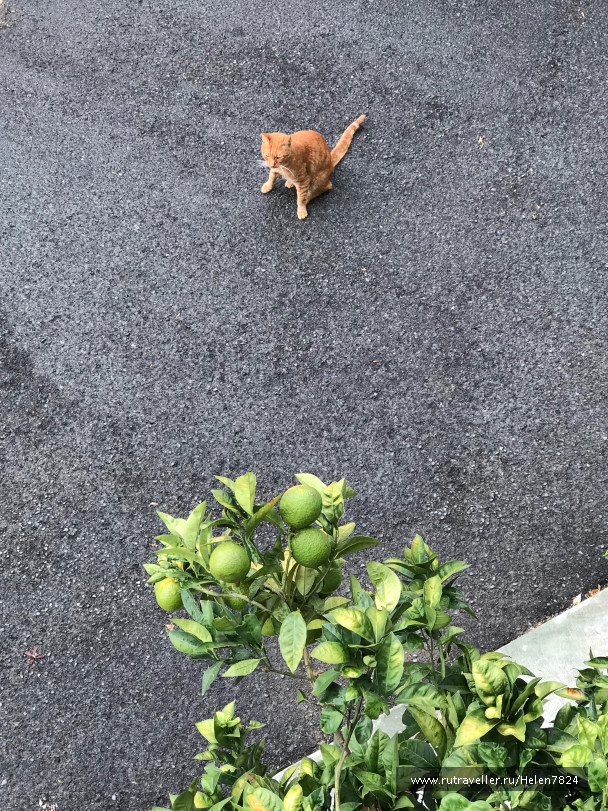 photo 1581758