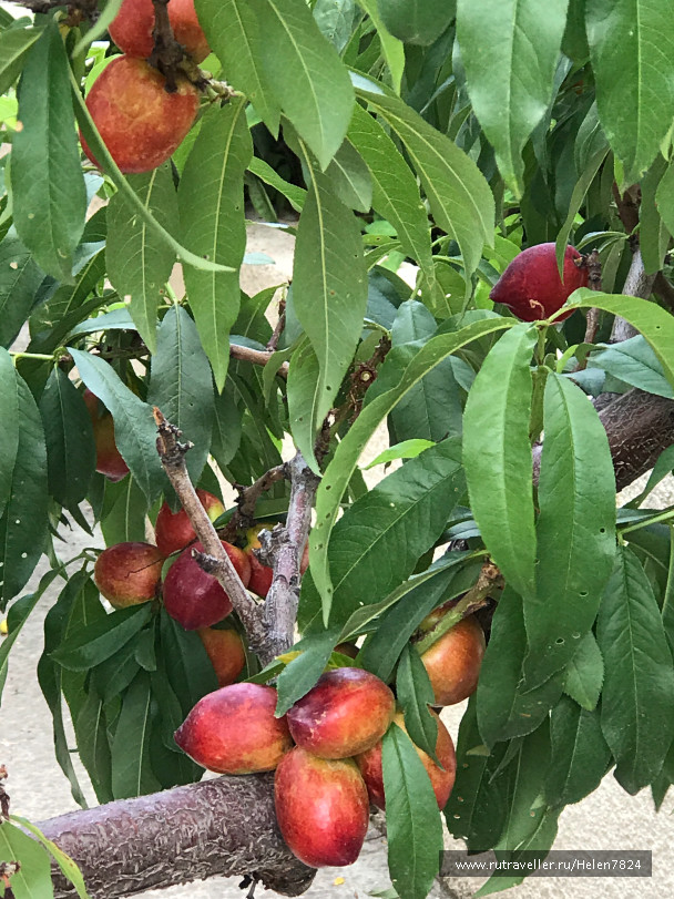 photo 1581763