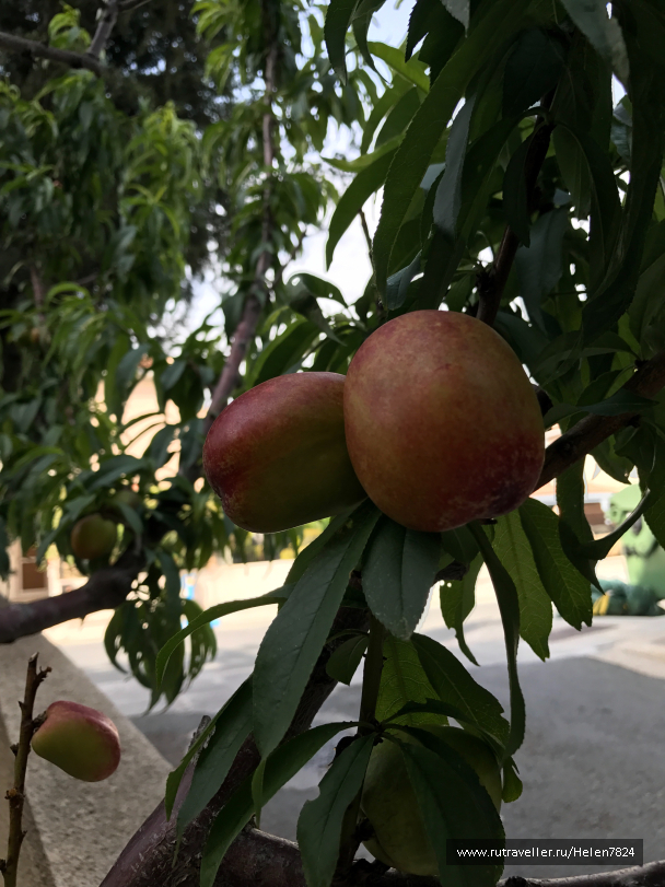 photo 1581765