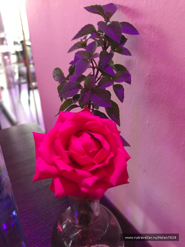 photo 1589571
