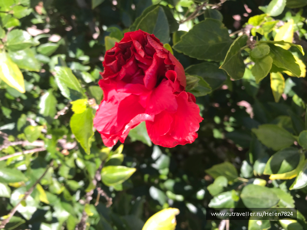 photo 1589573