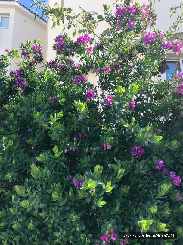 photo 1589574