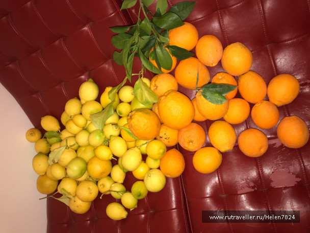 photo 1590210