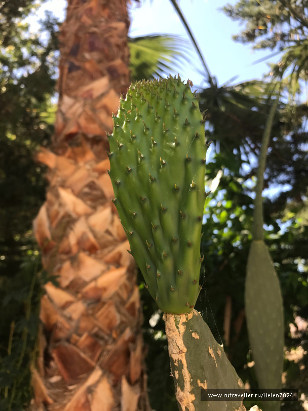photo 1631343