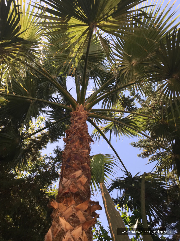 photo 1631344