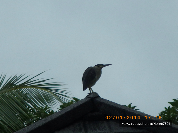 photo 631402