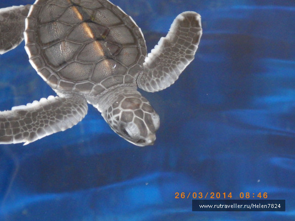 photo 702756