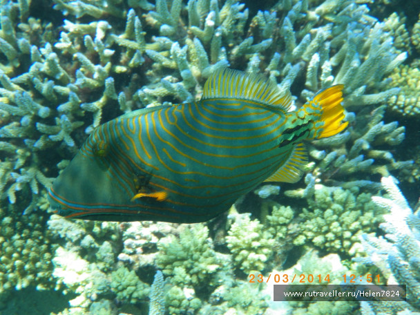 photo 702764