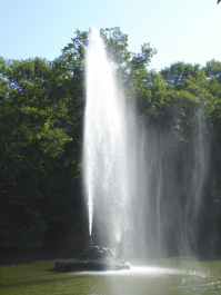 photo 359009