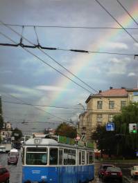 photo 359694