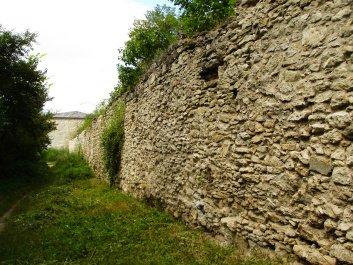 photo 359759