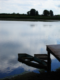 photo 359762