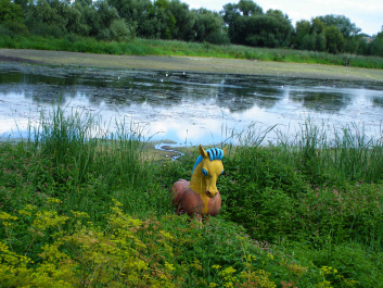 photo 359768