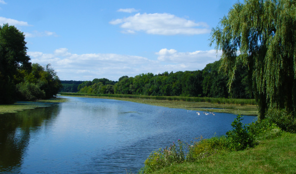 DSC00255