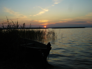 photo 360226