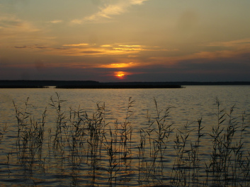 photo 360227