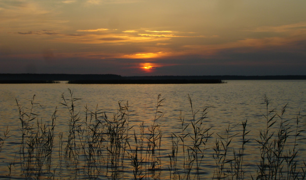 DSC03011