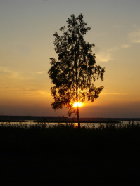 photo 360229