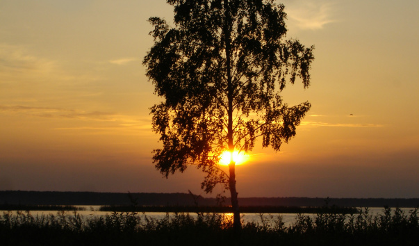 DSC03001
