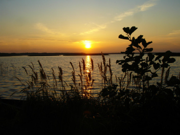 photo 360231