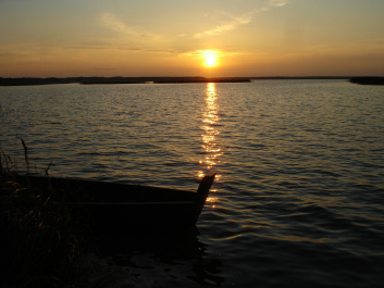 photo 360232