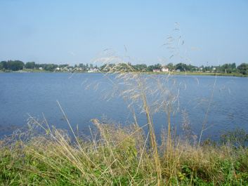 photo 367429