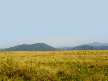photo 369512