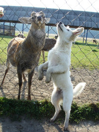 photo 369520