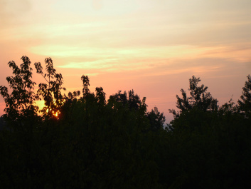 photo 369524