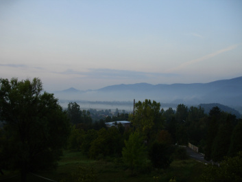 photo 369526