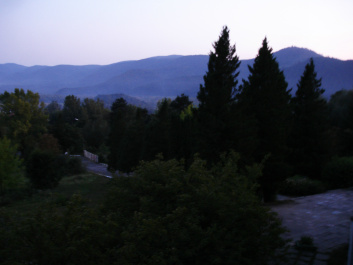 photo 369527