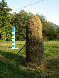photo 369590