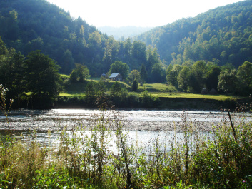 photo 369591