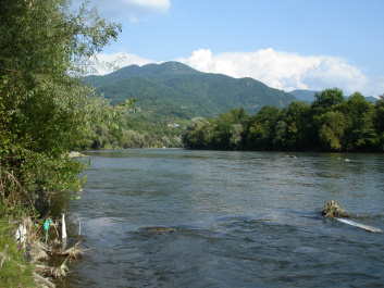 photo 369593