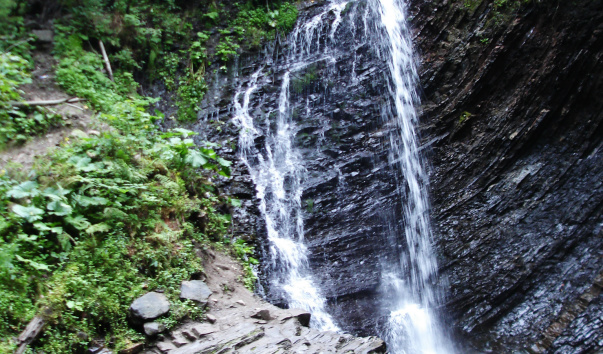 DSC04890