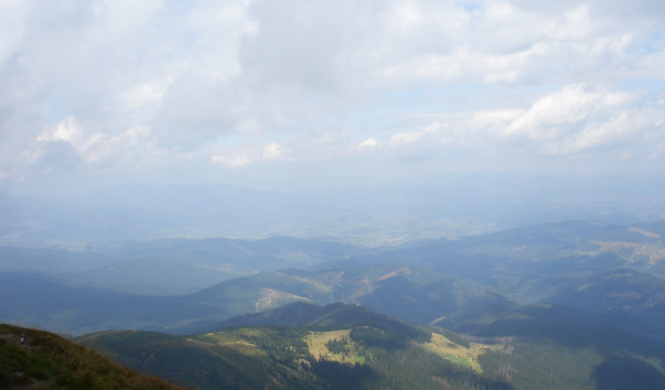 DSC05055