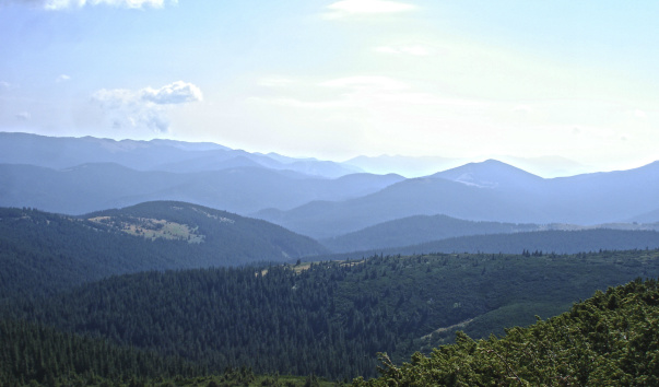 DSC05008