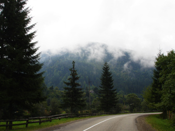 photo 369653