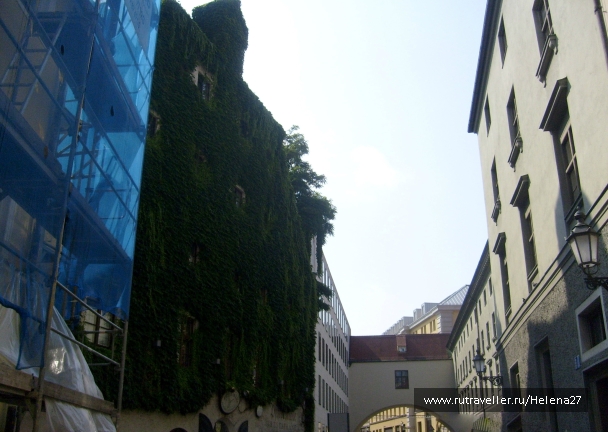 photo 898276
