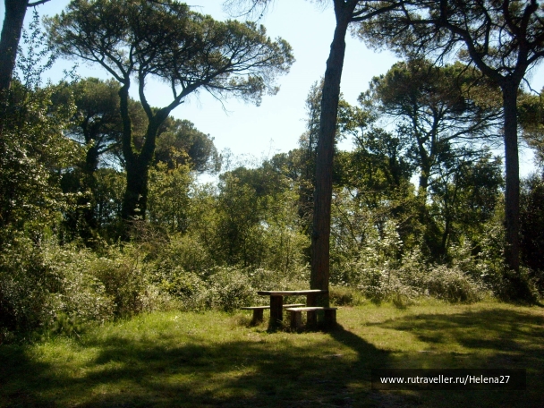 photo 898142