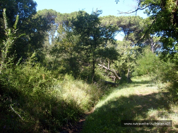 photo 898143