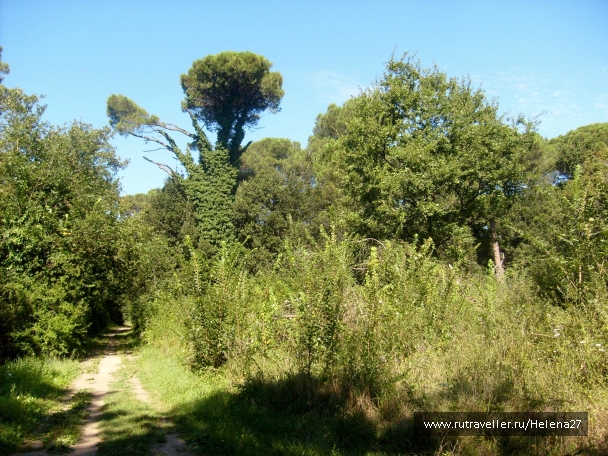 photo 898144