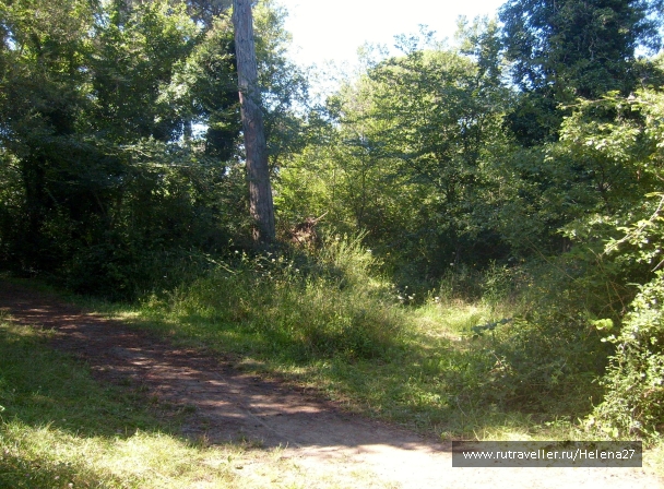 photo 898145