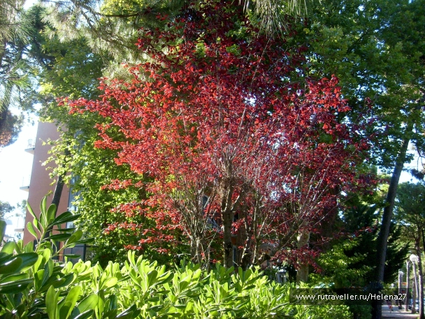 photo 898151