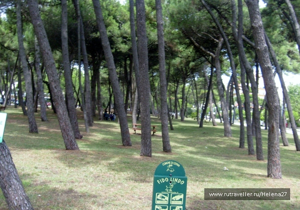 photo 898156