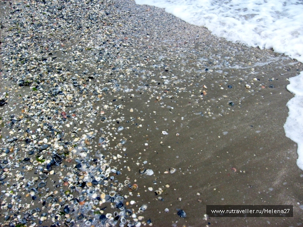photo 898158